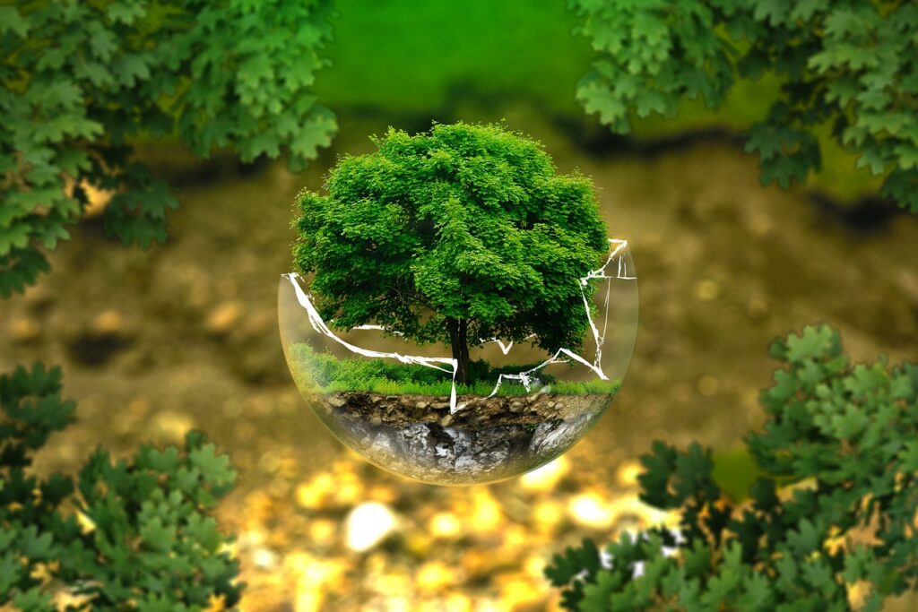 earth in a glass globe